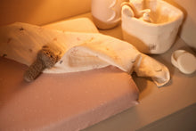 Load image into Gallery viewer, Changing Pad Cover 50*70 Twinkling Wild Rose