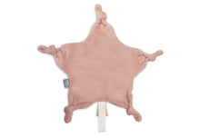 Load image into Gallery viewer, Pacifier Cloth Little Star Wild Rose