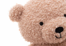 Load image into Gallery viewer, Cuddle Teddy Bear Wild Rose