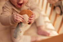 Load image into Gallery viewer, Rattle Fairy