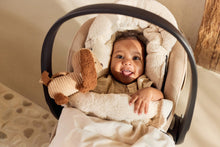 Load image into Gallery viewer, Carseat / Stroller Hanger Diego Dog