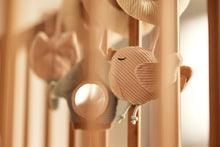 Load image into Gallery viewer, Activity Spiral Lovely Birds