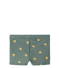 Load image into Gallery viewer, Swimboxer Tropical