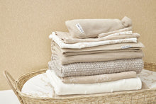 Load image into Gallery viewer, Hydrophilic Multi Cloths Branches Sand Grey(3 pcs)