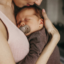 Load image into Gallery viewer, Pacifier Dynamic 0-3 months Harmony