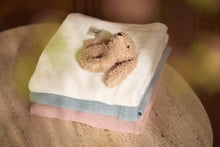 Load image into Gallery viewer, Rattle Bunny