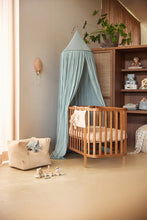 Load image into Gallery viewer, Wooden Train Jungle Jambo