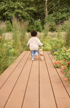 Load image into Gallery viewer, Cuddle Bunny