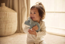 Load image into Gallery viewer, Cuddle Roarsome