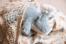 Load image into Gallery viewer, Cuddle Roarsome