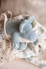 Load image into Gallery viewer, Cuddle Roarsome