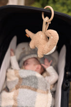 Load image into Gallery viewer, Carseat / Stroller Hanger Roarsome