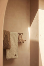 Load image into Gallery viewer, Carseat / Stroller Hanger Roarsome