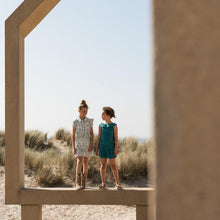 Load image into Gallery viewer, Dress Aqua