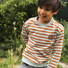 Load image into Gallery viewer, Shirt Longsleeve Crewneck Stripes
