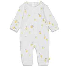 Load image into Gallery viewer, Suit Lemons