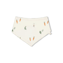 Load image into Gallery viewer, Bib AOP Eat Your Veggies