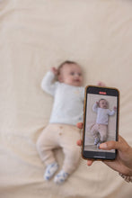 Load image into Gallery viewer, Pants Rib A-Roarable