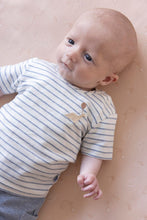 Load image into Gallery viewer, Shirt Stripe A-Roarable