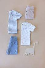 Load image into Gallery viewer, Shirt Stripe A-Roarable