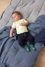 Load image into Gallery viewer, Sock Later Gator