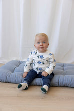 Load image into Gallery viewer, Sock Protect Our Reefs