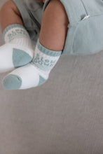 Load image into Gallery viewer, Socks Turtelly Cool