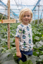 Load image into Gallery viewer, Short Explore More