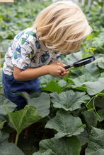 Load image into Gallery viewer, Short Explore More