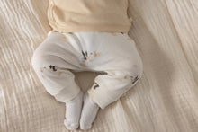 Load image into Gallery viewer, Pants AOP Special Delivery