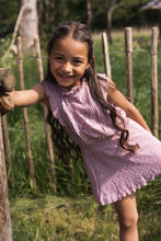 Load image into Gallery viewer, Dress Lace Mauve