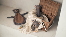 Load image into Gallery viewer, Pacifier Cloth Bear