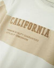 Load image into Gallery viewer, Shirt Stripe Premium