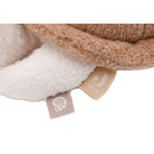 Load image into Gallery viewer, Activity Toy Deepsea Turtle