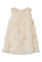 Load image into Gallery viewer, Dress Roses