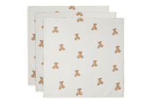 Load image into Gallery viewer, Hydrophilic Multi Cloth Teddy Bear (3 pcs)