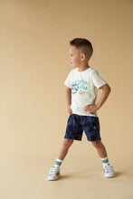 Load image into Gallery viewer, Sock Indigo Island