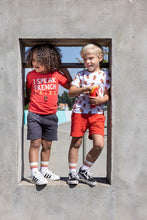 Load image into Gallery viewer, Sock Cool Crew