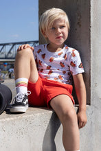 Load image into Gallery viewer, Sock Cool Crew