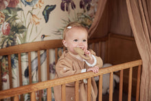 Load image into Gallery viewer, Teether Teddy Bear Biscuit