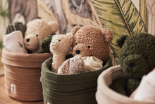 Load image into Gallery viewer, Cuddle Teddy Bear Biscuit