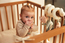 Load image into Gallery viewer, Wooden Rain Rattle On The Go
