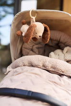Load image into Gallery viewer, Carseat / Stroller Hanger Diego Dog
