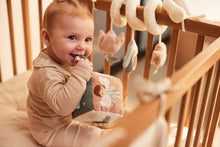 Load image into Gallery viewer, Activity Toy Cube Lovely Birds
