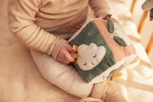 Load image into Gallery viewer, Activity Toy Cube Lovely Birds
