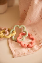 Load image into Gallery viewer, Hydrophilic Mouth Cloths Pretty Picnic (3 pcs)
