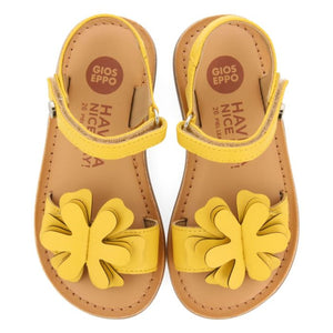 Sandal Yellow Flower