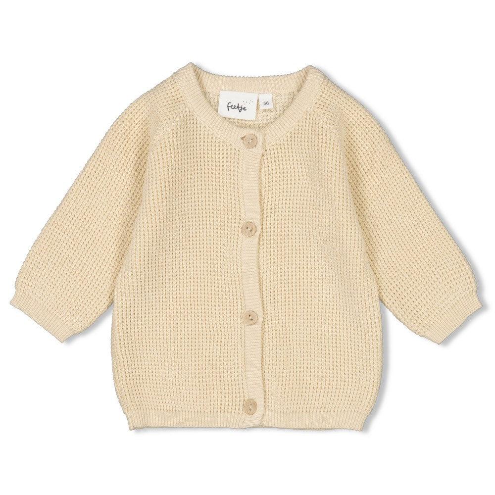 Cardigan Knit Special Delivery