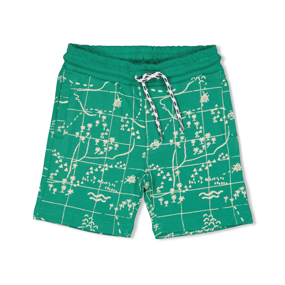 Short AOP Explore More