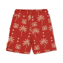 Load image into Gallery viewer, Short AOP Happy Rio Brique
